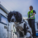 Henry, a very good boy, with his owner, Louise Wilson.